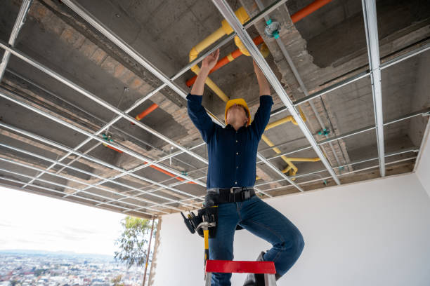 Best Residential Plumbing Services  in Kent Acres, DE